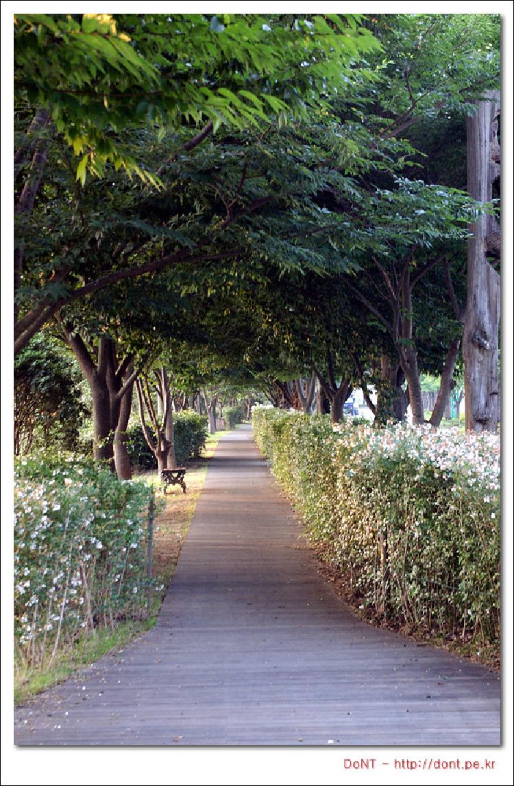 혼자 가는 여행 세번째 (20070723-27 남도여행) - 셋째날 