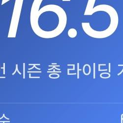 2526시즌 Snowboard 결산